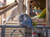 _5140186@0,25x.jpg