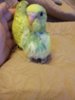 IMG_20180515_192930.jpg