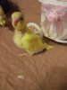 IMG_20180512_215951.jpg