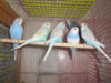 DSCN2899.JPG