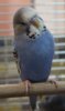 IMG_7881.JPG