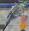 IMG_7951.JPG