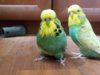 20180520_124455.jpg
