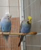 20180416_112749.jpg