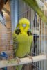 20180520_122815.jpg