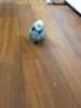 20180520_112950.jpg