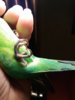 20180520_231522.jpg