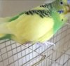 _20180523_175611.JPG