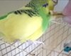 _20180523_175621.JPG