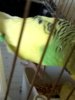 _20180523_182139.JPG