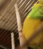_20180523_230114.JPG