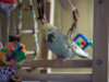 _2090061@0,25x.jpg
