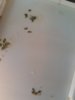 20180524_192406.jpg