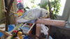 DSCF9484.JPG