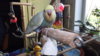 DSCF9489.JPG