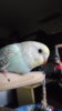 DSCF9506.JPG