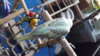 DSCF9504.JPG