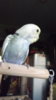 DSCF9531.JPG