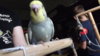 DSCF9522.JPG