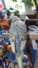DSCF9517.JPG