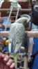DSCF9513.JPG
