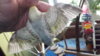 DSCF9547.JPG