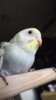 DSCF9543.JPG