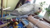 DSCF9537.JPG