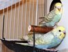 DSCF9563.JPG