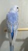 IMG_20180524_134415.jpg