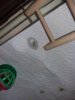 20180524_210442.jpg