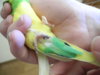 DSCN9633.JPG