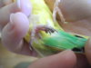 DSCN9630.JPG