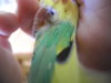 DSCN9627.JPG