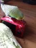 20180525_165915.jpg