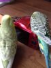 20180525_165926.jpg
