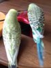 20180525_165933.jpg