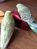 20180525_165940.jpg