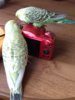 20180525_165945.jpg