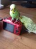 20180525_170017.jpg