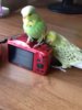 20180525_170020.jpg