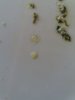 20180525_195840.jpg