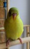 IMG_20180526_074559.jpg