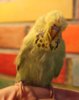 IMG_8136.JPG