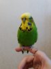 20180526_175407.jpg