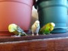 20180526_175048.jpg