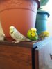 20180526_174935.jpg