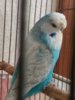 20180526_232854.jpg