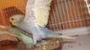 DSCF9686.JPG