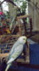 DSCF9720.JPG